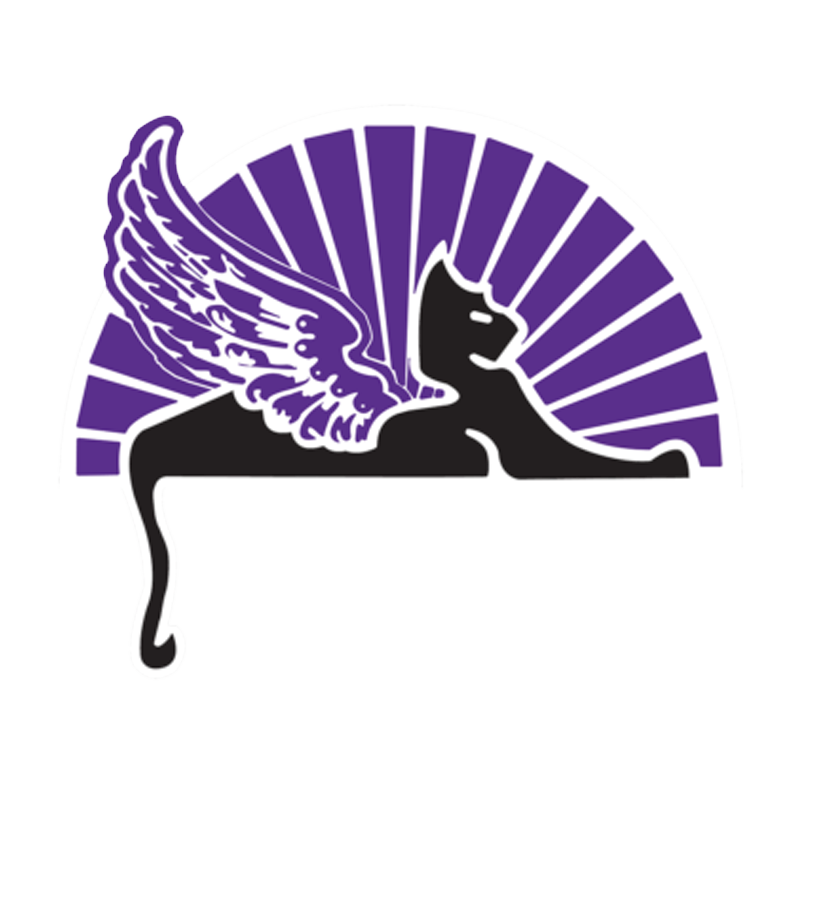 Blaqcat 16oz PET cup (500/cs) 95mm